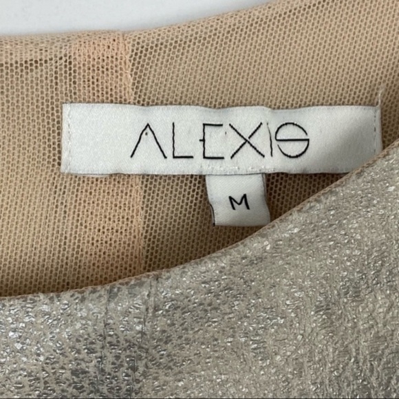 ALEXIS Roman Metallic Dress - Picture 11 of 13